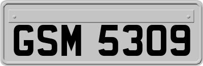 GSM5309