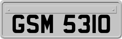 GSM5310