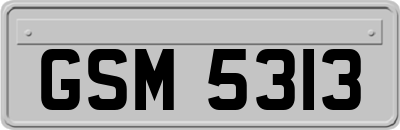 GSM5313