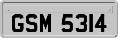 GSM5314