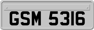 GSM5316