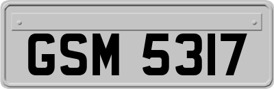 GSM5317
