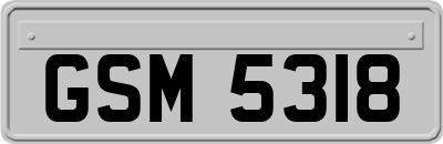 GSM5318