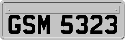 GSM5323