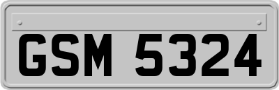 GSM5324