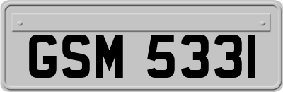 GSM5331