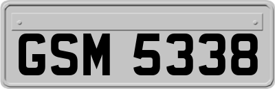 GSM5338