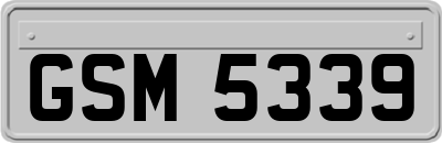GSM5339