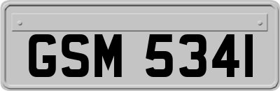 GSM5341