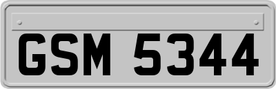 GSM5344