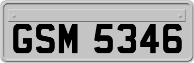 GSM5346