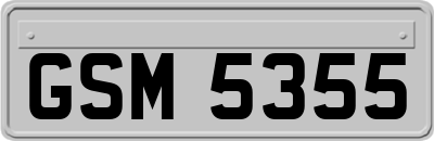 GSM5355