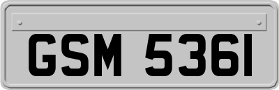 GSM5361
