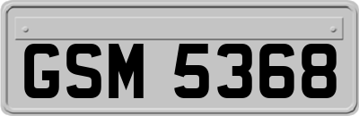 GSM5368