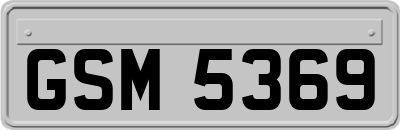 GSM5369