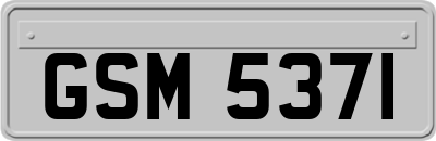 GSM5371