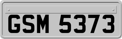 GSM5373