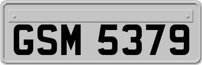 GSM5379