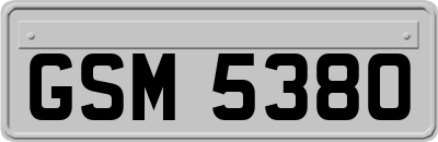 GSM5380