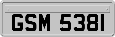 GSM5381