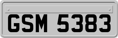 GSM5383