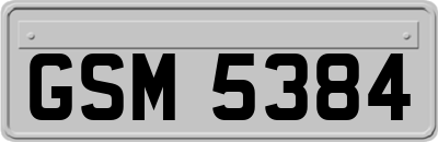 GSM5384