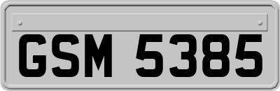 GSM5385