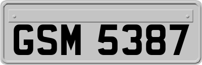 GSM5387