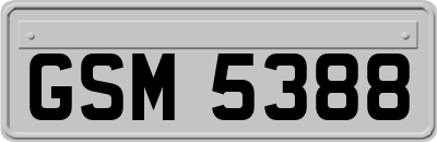 GSM5388