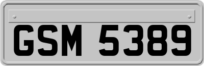 GSM5389