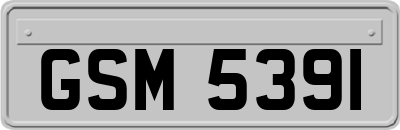 GSM5391