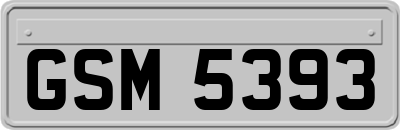 GSM5393