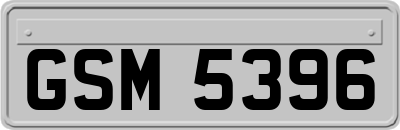GSM5396
