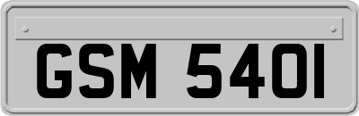 GSM5401