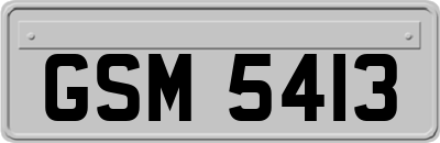 GSM5413
