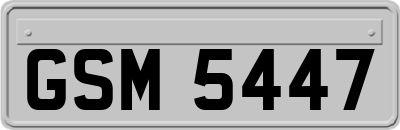 GSM5447