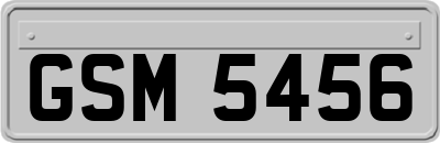 GSM5456