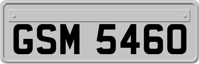 GSM5460