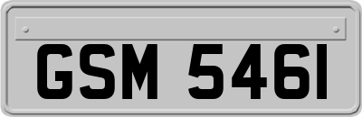 GSM5461