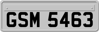 GSM5463