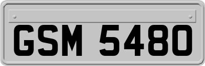 GSM5480