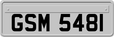 GSM5481