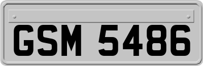 GSM5486