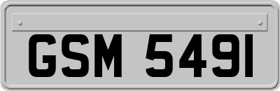 GSM5491