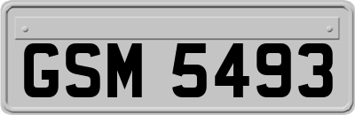 GSM5493