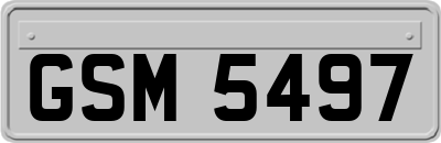 GSM5497