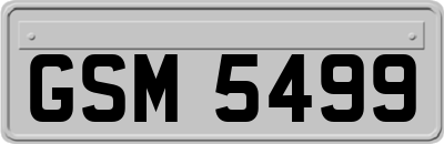 GSM5499