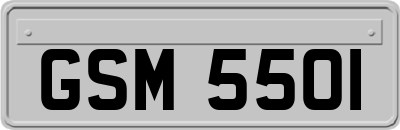 GSM5501