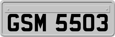 GSM5503