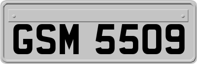 GSM5509